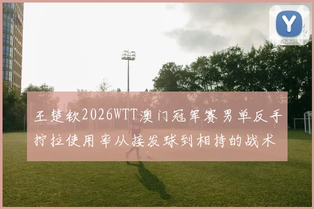王楚钦2026WTT澳门冠军赛男单反手拧拉使用率从接发球到相持的战术价值分析